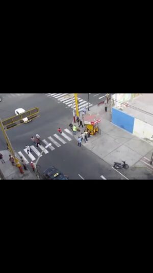 Prince Thompson Iyamu Instagram - INCREDIBLE: 😱 What will make a Dog 🐕 to attack the other in this manner?  Or could it be they might be in a relationship and the female caught the male cheating and all hell broke Loose?

Or the two dogs 🐕 are two sworn Enemies and they finally clashed. Fellows I leave it for you, Have your say.
