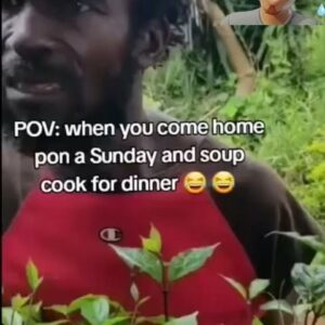 Prince Thompson Iyamu Instagram - 😂 😂😂 Unlimited Vocabulary. Man ah bumborasclaaat. This is beyond anger, like when someone comes home 🏡 and the dogs 🐕 have pissed all over the damn floor. 

Can someone just give him a cool nice glass 🥃 of lemonade for him to calm down like “Rema” please?

Anyway, Let me just finish this caption in style in Patois. (Patwa) “ Man seh every word that end ina claatt. 😂 man head chip.

This Page does not support any violence 👊🏽 🔫 stay safe and be humble.