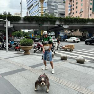 Prinya Intachai Instagram - Took my dog out for a walk.  Help me name him.. comment below ⬇️⬇️⬇️