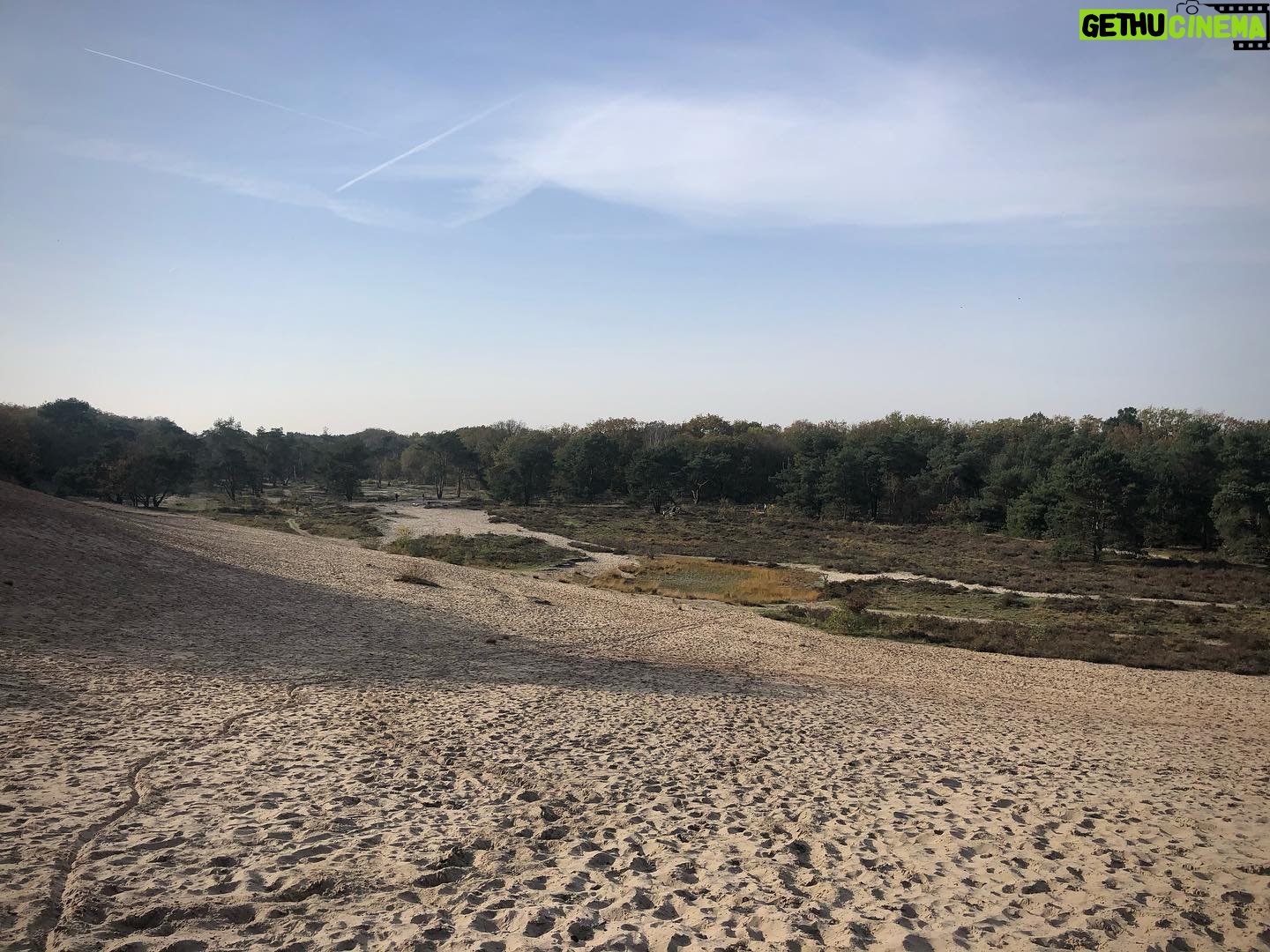 Priscilla Knetemann - 425 Likes - Wij hadden echt een heerlijk weekend weg! Hoe was die van jullie? ☀️🍂🦮♥️➡️
#lekkerbuiten #zon #friends #dog #gutsgusto #natuur