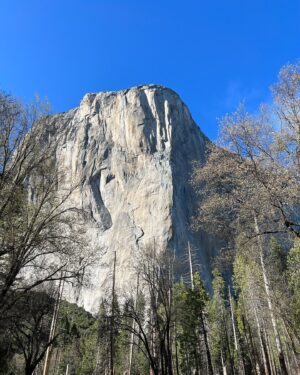 Priscilla Knetemann Instagram - YOSEMITE & KINGS / SEQOUIA 🌲
Met de camper zijn we doorgereden naar Yosemite National Park en Seqouia National Park. Zo gaaf!! Veel gezien en heel veel gehiked 🥾De temperaturen waren hier wisselend maar gelukkig waren we erop gekleed! #yosemite #yosemitenationalpark #sequoianationalpark #hike #amerika #revolutionrace #outfit #boots #nature #nps