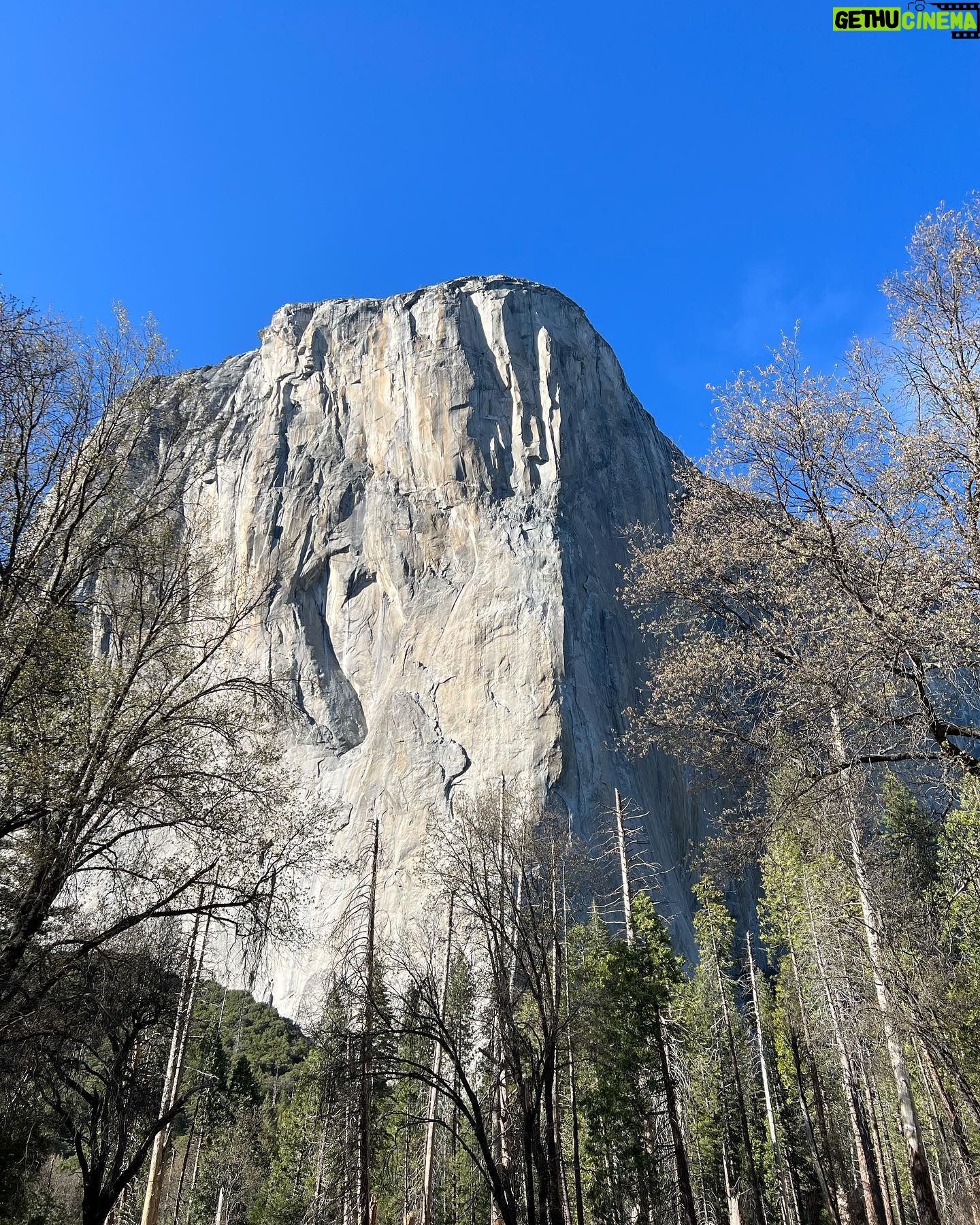 Priscilla Knetemann - 447 Likes - YOSEMITE & KINGS / SEQOUIA 🌲
Met de camper zijn we doorgereden naar Yosemite National Park en Seqouia National Park. Zo gaaf!! Veel gezien en heel veel gehiked 🥾De temperaturen waren hier wisselend maar gelukkig waren we erop gekleed! #yosemite #yosemitenationalpark #sequoianationalpark #hike #amerika #revolutionrace #outfit #boots #nature #nps