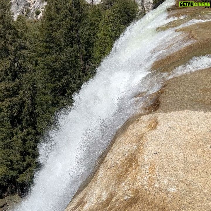 Priscilla Knetemann - 447 Likes - YOSEMITE & KINGS / SEQOUIA 🌲
Met de camper zijn we doorgereden naar Yosemite National Park en Seqouia National Park. Zo gaaf!! Veel gezien en heel veel gehiked 🥾De temperaturen waren hier wisselend maar gelukkig waren we erop gekleed! #yosemite #yosemitenationalpark #sequoianationalpark #hike #amerika #revolutionrace #outfit #boots #nature #nps