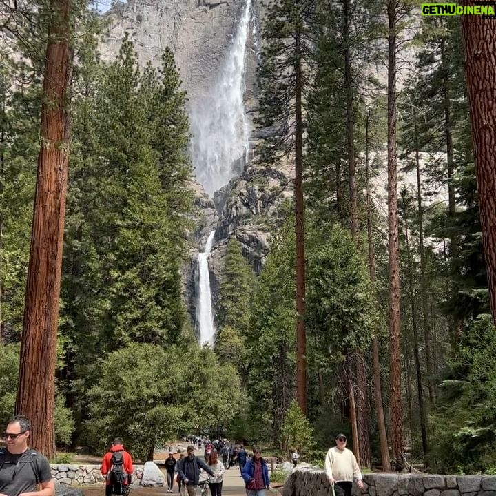 Priscilla Knetemann - 447 Likes - YOSEMITE & KINGS / SEQOUIA 🌲
Met de camper zijn we doorgereden naar Yosemite National Park en Seqouia National Park. Zo gaaf!! Veel gezien en heel veel gehiked 🥾De temperaturen waren hier wisselend maar gelukkig waren we erop gekleed! #yosemite #yosemitenationalpark #sequoianationalpark #hike #amerika #revolutionrace #outfit #boots #nature #nps