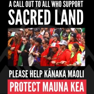 Pua Case Instagram - WHY IS SIGNING AND SHARING SO SIGNIFICANT? BECAUSE WEʻVE ALWAYS BEEN DESCRIBED AS "SOME HAWAIIANS AND THEIR SUPPORTERS," BECAUSE WEʻLL BE IN FRONT OF BLNR AT THE END OF THE MONTH, BECAUSE THIS IS FAR FROM OVER AND TO SHOW A UNITED GLOBAL COMMUNITY OF 500,000 WOULD BE A SHOW OF SOLIDARITY THAT COULD NOT BE DISPUTED OR DENIED! PLEASE SIGN, SHARE, RE-SHARE, KEEP SHARING TIL WE REACH OUR GOAL! Mahalo, MKEA
Aloha kākou, 
To all who have ever stood for Mauna Kea, Perhaps you stood on the Ala Hulu Kupuna arm in arm on the road or chanted, danced and sang in the ʻAha mauna in 2019-2020, or maybe you composed a mele or created an art piece to support the movement. No matter if you were here, if you sent your prayers from afar, or if youʻve been standing since the beginning or starting today, Mauna Kea Education and Awareness is asking everyone to assist us in reaching our goal of 500,000 signatures on the ʻNo Constructionʻ Petition that opens with this statement, "We, the global community of Mauna Kea supporters are demanding that there will be no construction of the 30 Meter Telescope on Mauna Kea, Island of Hawaiʻi. The TMT will cause harm to the mountain and destroy a sacred place for Kanaka Maoliʻs spiritual and cultural practices." 
The kiaʻi or protectors are not anti-science. They are committed to protecting the mountain from further desecration and destruction. This is not just about one mountain in Hawaiʻi. This is a global movement and the world is watching. 
For media, resources, questions and information, and donations, contact: mkea.info@gmail.com or visit our website at mkea.info
Instagram: @protectmaunakea @maunakeaeducationandawareness