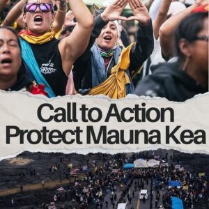 Pua Case Instagram - Aloha everyone, sign and share. Let our voice be heard. No TMT! Repost from @protectmaunakea
•
Let NSB & NSF know that you oppose the construction of the TMT on Mauna Kea!!

Link in our bio to easy form to submit comments! 

📸 #repost @kaheaalliance