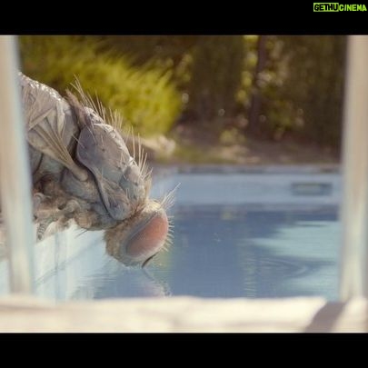 Quentin Dupieux - 8.2K Likes - š¦ MANDIBULES un film de Quentin Dupieux avec @gregoireludig @davidmarsais @adeleexarchopoulos @elvis.romeo @india.hair @coralierussier ⢠produit par @hugoselignac @memento.films ⢠šmusique: @metronomy ⢠Jean-Gab et Manu, deux amis simples d'esprit, trouvent une mouche geĢante coinceĢe dans le coffre d'une voiture et se mettent en teĢte de la dresser pour gagner de l'argent avec.. š¦ au cineĢma le 02/12/2020
