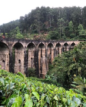 Rachel Viccaji Instagram - More Lanka…what I could fit here of the times I took the trouble to pull out my phone and document.