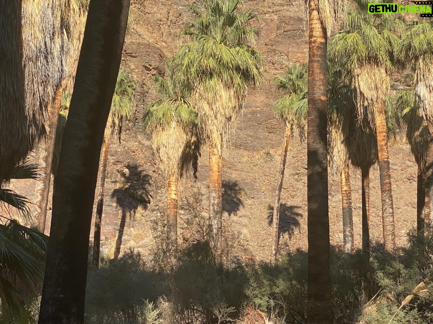 Radha Mitchell - 450 Likes - #back in Cali