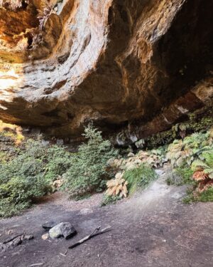 Rae Johnston Instagram - This morning’s walk on Darug Country, quiet gratitude-filled moments by the water in this sacred women’s place 🤎

If you visit here please be respectful and stay behind the barriers in the cave x 

#bluemountains #darugcountry #wallscave