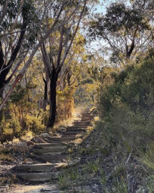 Rae Johnston Instagram - This morning’s walk on Darug Country, quiet gratitude-filled moments by the water in this sacred women’s place 🤎

If you visit here please be respectful and stay behind the barriers in the cave x 

#bluemountains #darugcountry #wallscave