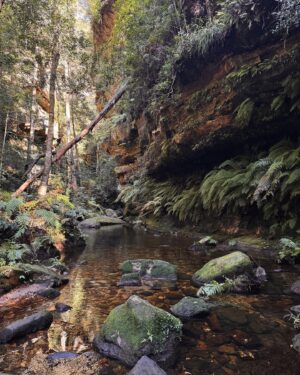 Rae Johnston Instagram - Moments from today’s Grand Canyon bushwalk 🤎 

This is one of the most popular walks in the mountains, so getting on track on a weekday means I’m not queuing instead of hiking 😂

#bluemountains #grandcanyon #darugcountry
