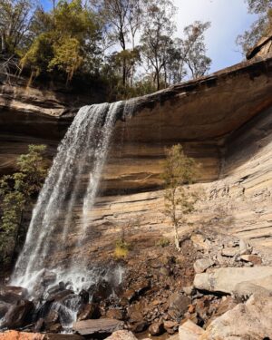 Rae Johnston Instagram - Headed down via Silver Cascades, Victoria Falls and Victoria Creek to the Burra Korain campground today. A chilly start (my car was iced up!) bur it soon warmed up - and I beat the rain! 

The campground sits right where the creek meets the Grose River, and is a pretty spectacular spot. 

Took me about 4 hours to get down there and back up again, some slippery sections and ankle deep river crossings but nothing too hairy. I was soaked by the time I got back just from the moisture in the air from the falls and the humidity.

Definitely coming back to stay overnight 🤎

#bluemountains #hiking #grosevalley