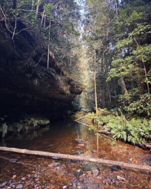 Rae Johnston Instagram - Moments from today’s Grand Canyon bushwalk 🤎 

This is one of the most popular walks in the mountains, so getting on track on a weekday means I’m not queuing instead of hiking 😂

#bluemountains #grandcanyon #darugcountry