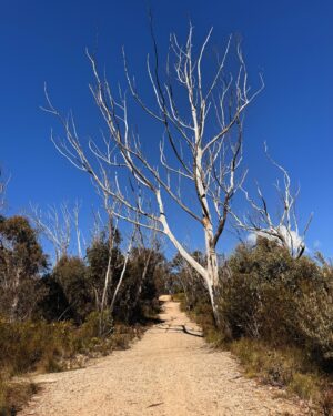 Rae Johnston Instagram - Beautiful day to visit Hanging Rock 🤎 

#darugcountry showing off this morning!

#bluemountains #hiking #hangingrock