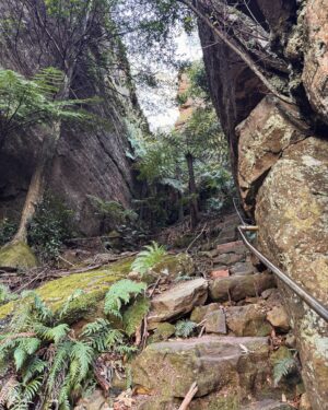 Rae Johnston Instagram - 3 and a bit hours of down then up (and up, and up) stairs to one of my favourite places in the world 🤎

Also: one of the many, many reasons @jiggsy2point0 is the best ❤️

#perryslookdown #bluegumforest #govettscreek #bluemountains #darugcountry