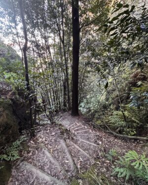 Rae Johnston Instagram - 3 and a bit hours of down then up (and up, and up) stairs to one of my favourite places in the world 🤎

Also: one of the many, many reasons @jiggsy2point0 is the best ❤️

#perryslookdown #bluegumforest #govettscreek #bluemountains #darugcountry
