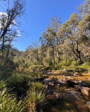 Rae Johnston Instagram - 3 and a bit hours of down then up (and up, and up) stairs to one of my favourite places in the world 🤎

Also: one of the many, many reasons @jiggsy2point0 is the best ❤️

#perryslookdown #bluegumforest #govettscreek #bluemountains #darugcountry