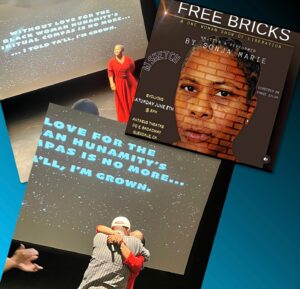Rahvaunia Instagram - 🔥 BRICKS 🔥 Sonja has such an infectious energy on the stage. Her jovial portrayal of her younger self draws you in and makes you smile. Her physicality is beautiful to watch as she moves through the space and the story. The visuals, her poetry, and her singing are done in such a beautiful way. Sonja delivers a magical performance. Her commitment to her characters will have you wanting to watch more of them. I would say go see it, but today was the only performance. There’s more to come… Sonja shared in her post show talk back. So when you see that she is doing the show again… GO SEE IT! What a great show! Super proud of you @wordlifesonjamarie Keep growing, shinning, and thriving! I am watching, cheering you on, and being inspired by you. ♥️🔥💃🏽🎭💫🎤