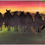 Ralph Bakshi