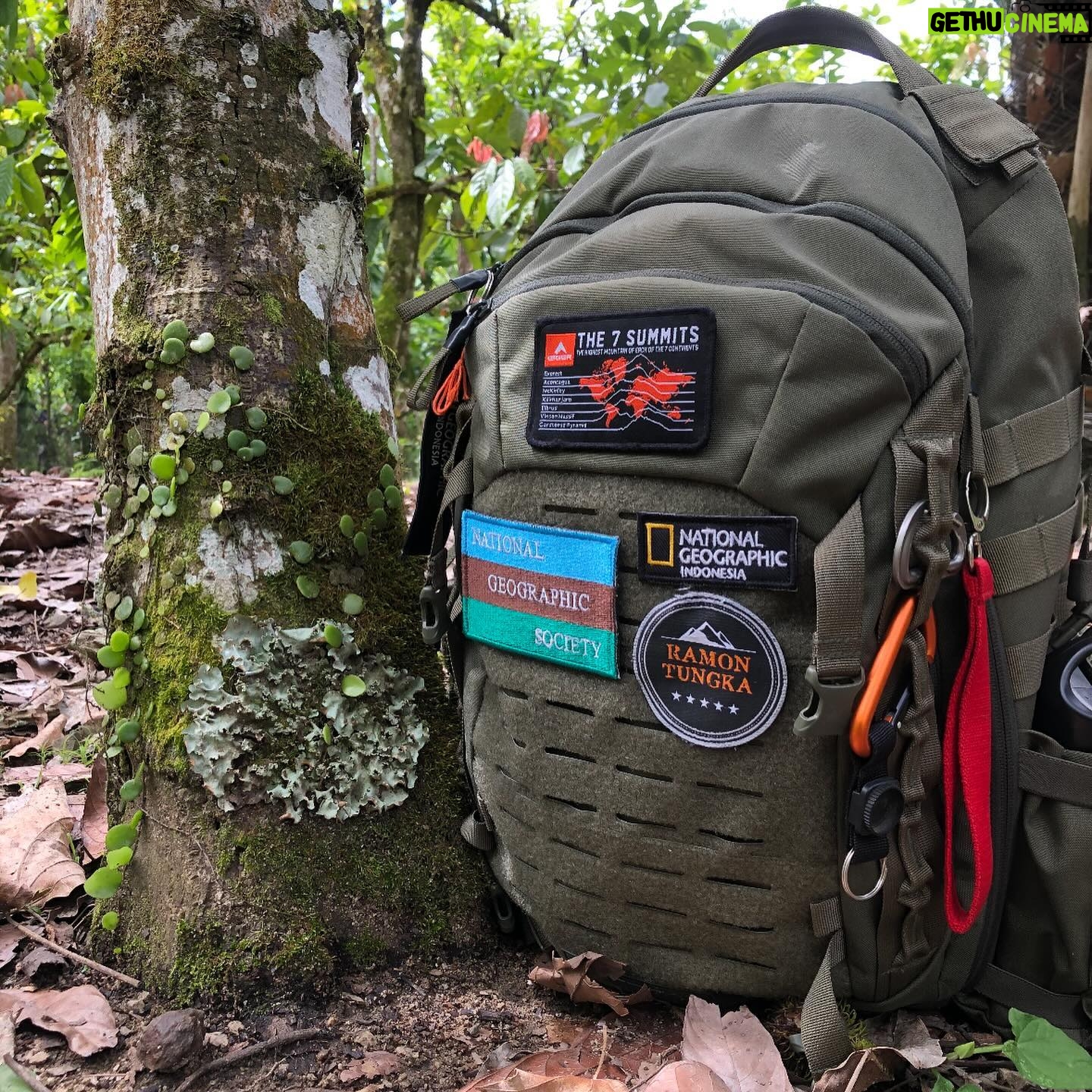 Ramon Y. Tungka - 1.2K Likes - :
19 tahun bukanlah waktu yang singkat untuk berproses berliku bertumbuh bijak. Seperti ungkapan Uda @ricky_jalanjalan salah satu fotografer senior @natgeoindonesia bahwasanya menjelang kepala 2 adalah usia yang sedang ranum, sedang gesit-gesitnya.
Membentang alam raya panggung pengembaraan dan pembelajaran. Selamat merayakan hidup dan bertumbuh bijak di era baru penjelajahan: Merayakan Pusparagam Kehidupan.
Teruslah menjelajah menjemput ilmu pengetahuan dan menyala lebih terang untuk planet ini dan manusianya!
Selamat berulang tahun ke 19, Sobat Bumi & Kawan Jalan! National Geographic Indonesia.