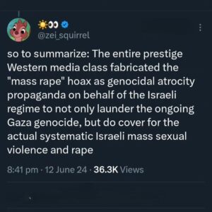 Randa Abdel-Fattah Instagram - #breaking: NYT, AP, Reuters, Guardian all lied.