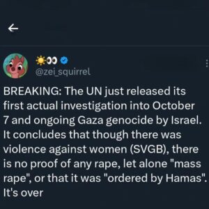 Randa Abdel-Fattah Instagram - #breaking: NYT, AP, Reuters, Guardian all lied.