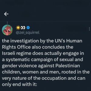 Randa Abdel-Fattah Instagram - #breaking: NYT, AP, Reuters, Guardian all lied.
