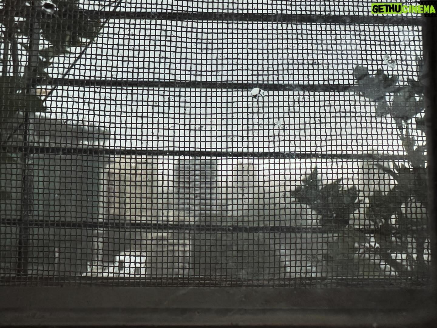 Ranvir Shorey - 2.1K Likes - The magical melancholy of #Mumbaiās pre #monsoon #weather. ā¤ļø