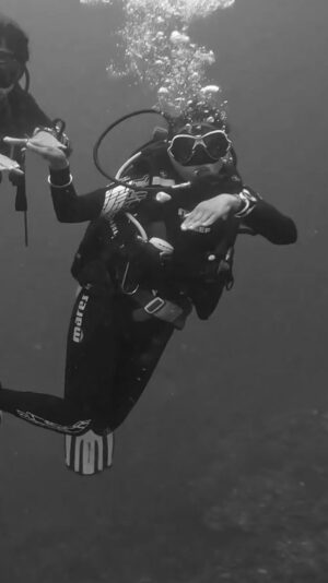 Ravi Jadhav Instagram - Underwater Marathi Thaska by Meghana and her dive buddies 🌊 

Dancing below the surface in Raja Ampat, Indonesia feels like entering another world. 🐠✨ 

Thank you @sanjurathod07 for this brilliant song ❤️👍

@pavithrakishore_ @aparajita.timelapse 
#RajaAmpat #UnderwaterDance #OceanVibes #DancingWithFish #SeaNymph #MermaidLife #ExploreTheDeep #UnderwaterAdventures #DanceLikeNoOneIsWatching #DeepSeaDancing #MagicalMoments”