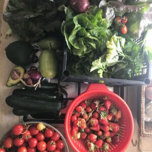 Raz Degan Instagram - Lascia che il cibo sia la tua medicina. Questa espressione antica ha un significato profondo che oggi più che mai dovremmo ricordare. Il cibo è la base della nostra salute fisica e mentale: quando mangiamo bene, ci sentiamo bene e la vita diventa più armoniosa.
Ma cosa significa davvero "lascia che il cibo sia la tua medicina"? Significa che dobbiamo considerare il cibo come una fonte di guarigione e prevenzione, non solo come un modo per placare la fame. Ogni alimento ha i suoi benefici e le sue proprietà uniche, che possono aiutare a rafforzare il nostro organismo e prevenire le malattie.
Immagina se il cibo che ami potesse anche curare il tuo corpo e la tua mente. Se scegliessimo con cura ciò che mettiamo nel nostro piatto, potremmo migliorare la nostra qualità della vita e prevenire numerose malattie. Non solo, ma potremmo anche scoprire nuovi sapori e cucinare con più creatività.
Cosa stai aspettando? Inizia oggi a prenderti cura di te attraverso il cibo. Scopri nuove ricette, esplora nuovi sapori e goditi ogni boccone con gratitudine. Lascia che il cibo sia la tua medicina e la tua fonte di felicità.
CTA: Condividi nei commenti la tua ricetta preferita che ti fa sentire bene e utilizza l'hashtag #trullonation per ispirare gli altri a mangiare in modo sano e consapevole.
@trullonation #❤️ #verdure #cibosano #Pachamama #nutrizione #cambiamento #benessere #salute #Italia #ilovepuglia