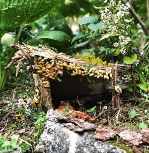 Rebecca Liddiard Instagram - We spent the weekend building affordable housing for the fairies. I really think they will like it. @alexansimp #fairyhouse