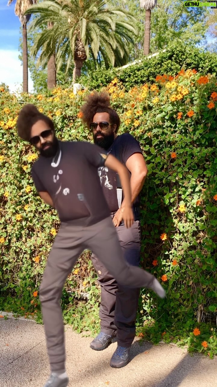 Reggie Watts - 1.7K Likes - Wishing you all a killer #firstdayofsummer ♥️ More vibes and moves like this at a stage near you.
Link in bio 🪩
📸 @meganmcisaac