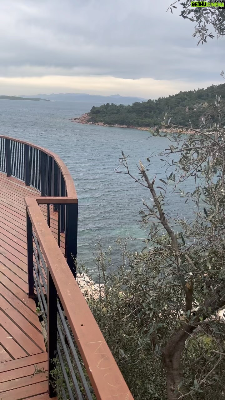 Reha Özcan - 3.8K Likes - Horatio- 1983’de 2 kere üst üste söyleyebiliyorduk bu tiradı… Yıl olmuş 2023 hala ezberimde ama…
#müşfikkenter
@rzgrzcn
@ruya.ozcaan
@yesimtemelozcan