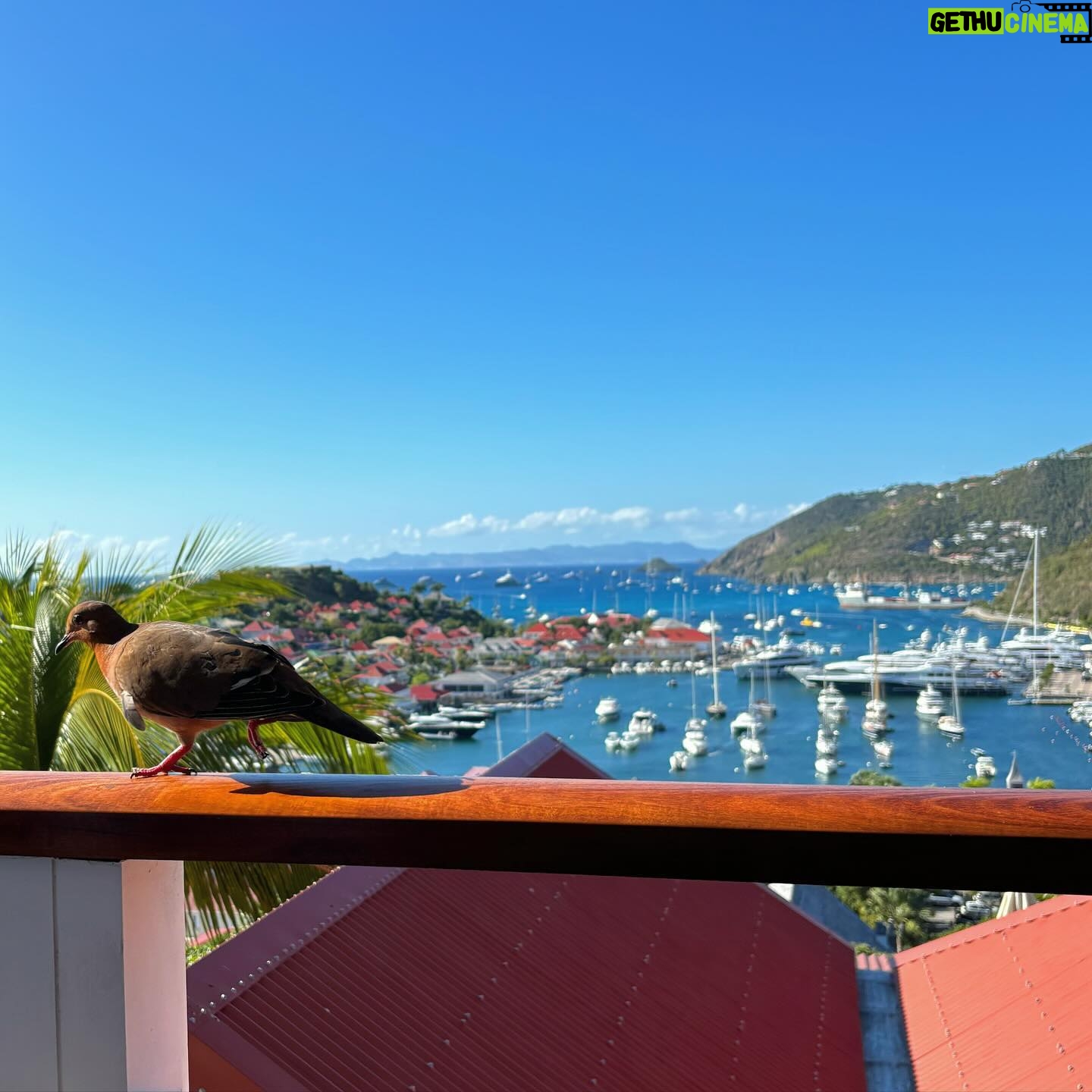 Rémi Notta - 3 Likes - St Barth 😍