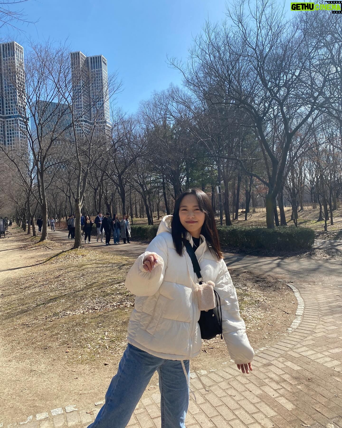 Ren Komai - 1.1K Likes - -
#서울숲
韓国の友達やみんなにお勧めされた聖水エリア🪿#성수
お散歩にぴったり。
それと凄く面白かったのは
韓国のバスがジェットコースター並みの荒ぶりで走ること💨笑
バス停に居ても、いるよ!乗るよ!アピールをしないと過ぎ去ってしまうこと💨
韓国バスではアピール命🚌
#한국여행