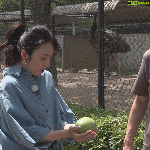 Rena Tanaka - 4.1K Likes - テレビ西日本「華丸・大吉のなんしようと?」
2024年6月7日(金)19:00~
に出演致します✨✨^_^。
私の故郷 福岡県久留米市で
華丸大吉さんと沢山の場所へ✨✨
華大さんが大好きな店主さんの中華料理店や
私が行ってみたかった喫茶店、
鳥類センターや
幼い頃の思い出のラーメン屋さん🍜など、、
沢山満喫してきました✨✨
宜しかったらご覧くださいね。
テレビ西日本が観れない皆さんは
TVer .FODでも視聴出来ます^_^。