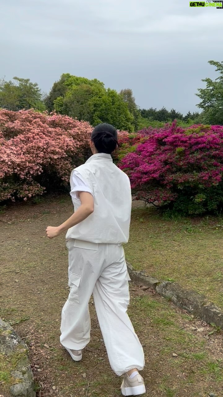 Rena Tanaka - 1.9K Likes - 先月私の故郷 福岡県久留米市で行われた
つつじマーチの開会式の後
久留米森林つつじ公園 にて✨✨
つつじマーチのPR動画を撮影して参りました。
あいにくお天気は、少し雨が降ったりしていたのですが、ちゃんと止んでくれて撮影が出来ました☺️。
雨が止んではしゃいでしまってます😅
久留米は今も
ツツジは満開かしら。