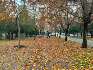 Renato Jofré Instagram - Paseo post lluvia👣🌿🌒🌦️