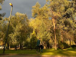 Renato Jofré Instagram - Paseo post lluvia👣🌿🌒🌦️