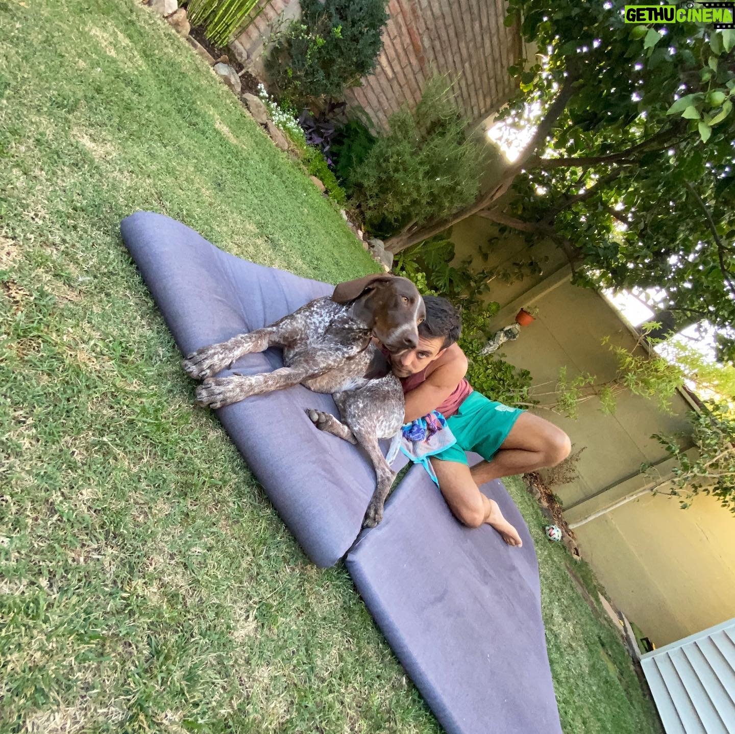 Renato Jofré - 772 Likes - Viernes perruno👣🐶 cuidando a la Daga☺️ #amordehermanos #viernes #perrofeliz