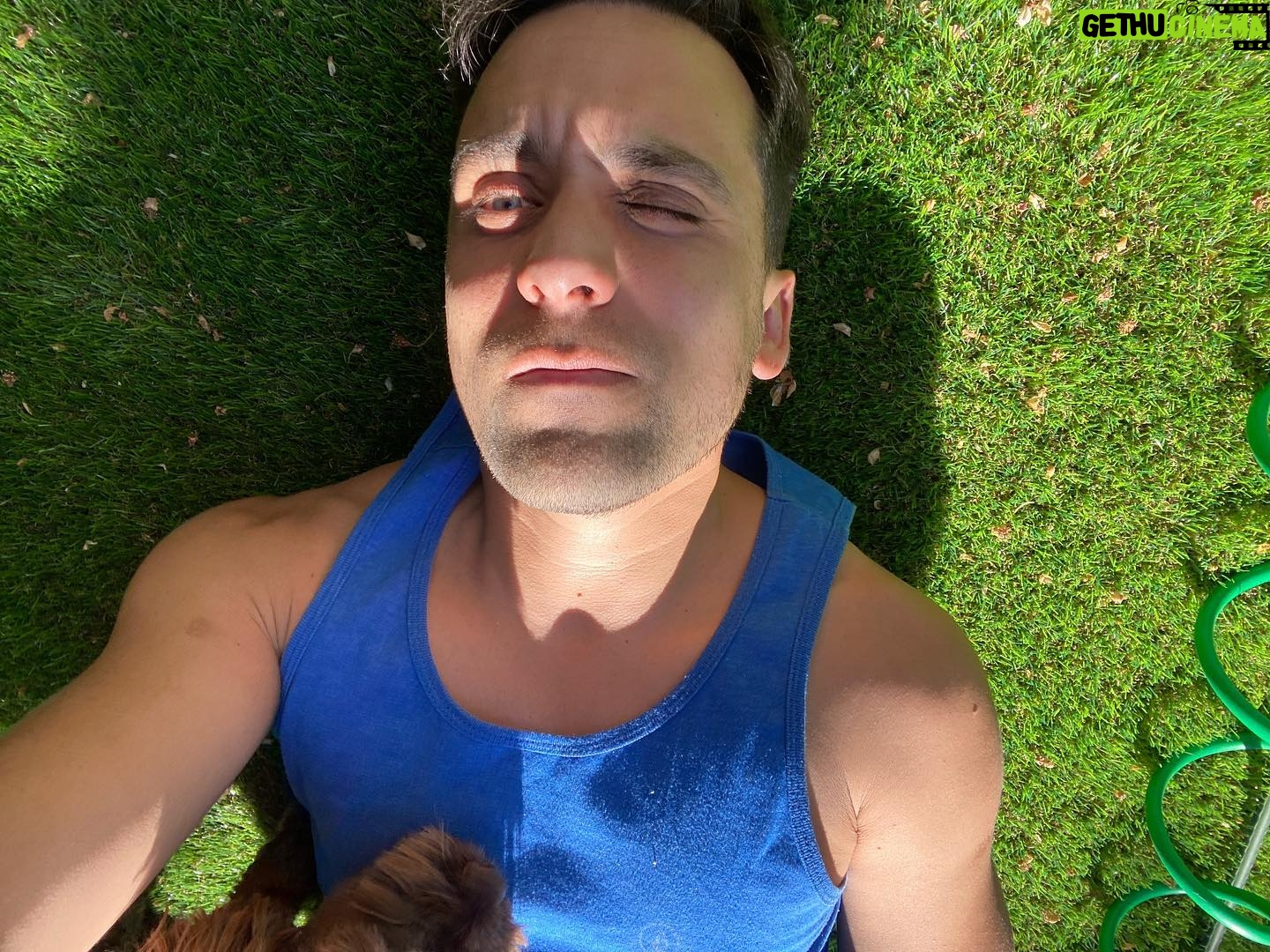 Renato Jofré - 490 Likes - Aprovechando el 🌞 buen sábado queridxs😘