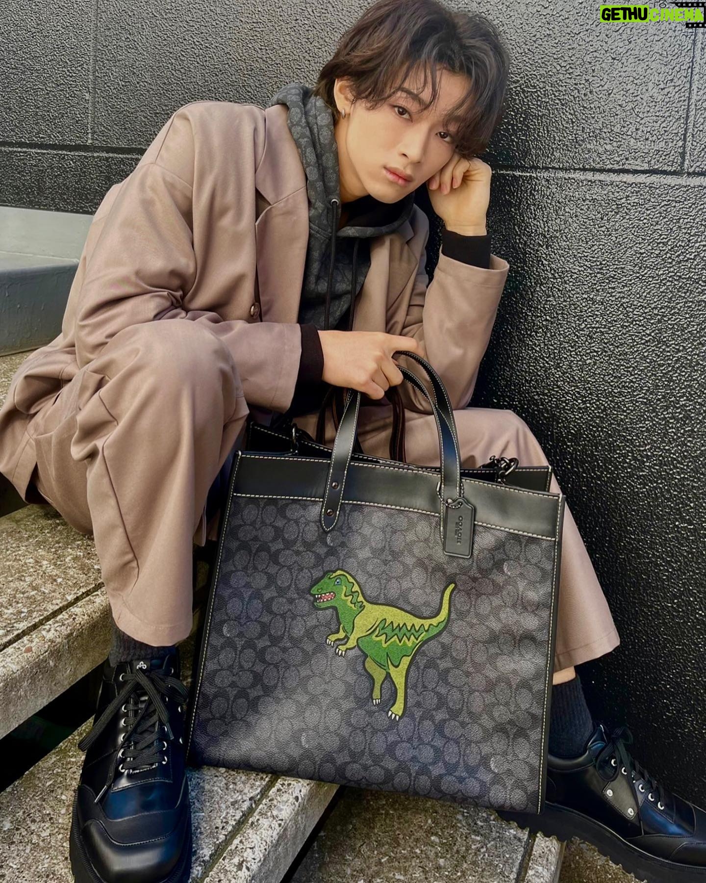 Reo Matsumoto - 3 Likes - レキシーコレクション🦖
@coach @coach_japan
#coachny #coachjapan #コーチレキシー