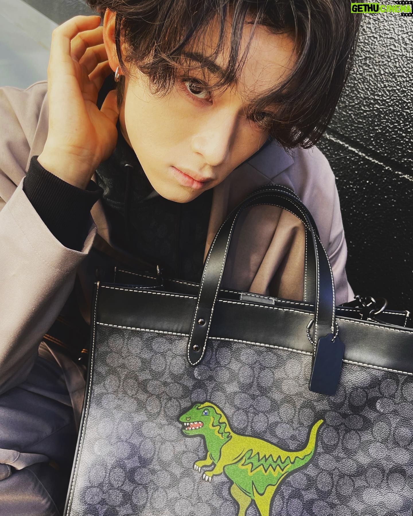 Reo Matsumoto - 3 Likes - レキシーコレクション🦖
@coach @coach_japan
#coachny #coachjapan #コーチレキシー