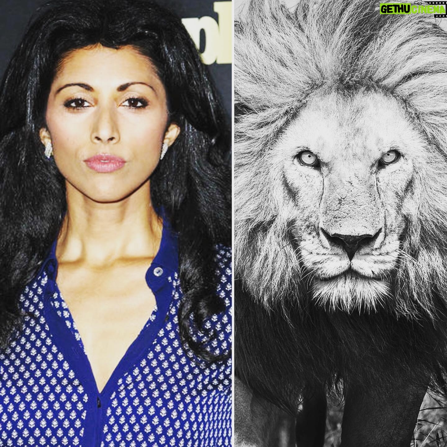 Reshma Shetty - 439 Likes - A flashback pic popped up on my feed and it fizzed up a question . Who wore it better ? Winner ? NATURE . #fierce