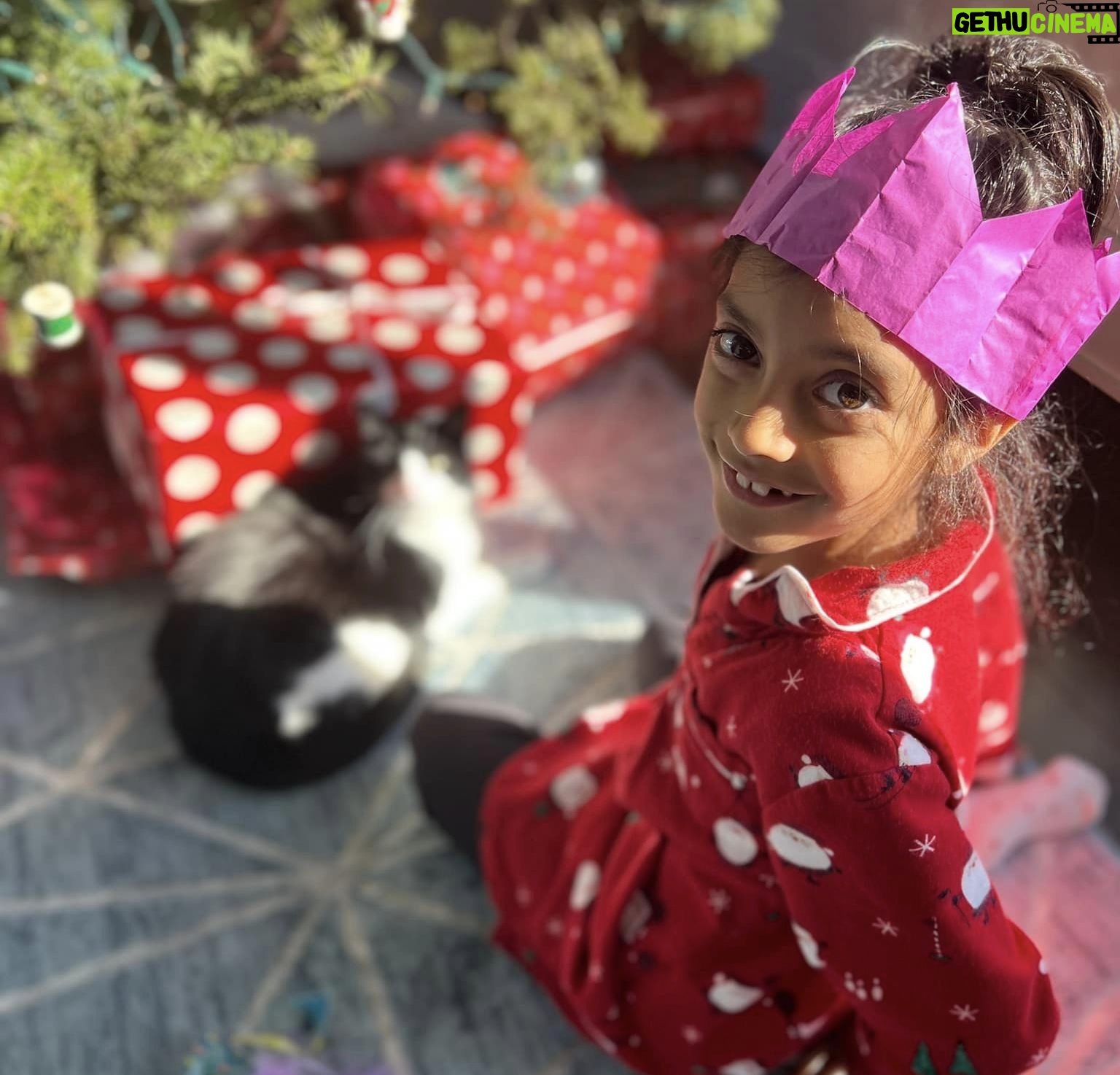 Reshma Shetty - 406 Likes - From my family to yours Merry Xmas . Itās been a really rough season and I know a lot of you are under the weather or dealing with baby bunnies under the weather or are not home because of weather. As I keep telling myself . This too shall pass .
Hereās to a better new year š