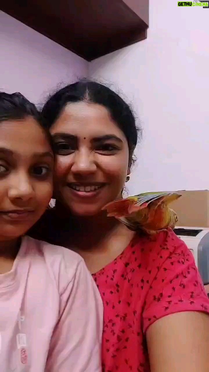 Reshmi Karthigeyan - 2K Likes - Em Kannu 😍
instareels#instagramreels#funnyreels#reelitfeelit#reels#instatamilreels#tamilreels#cutie#momndaughter#fun