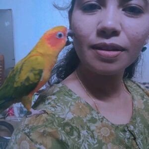 Reshmi Karthigeyan Instagram - But she's Tara😍🥰
#lovetoday #birdiereel #birdlovers #birdie #parrots #parrotsofinstagram #lovetodaymovie #lovetodaysongs #lovetodayreels #lovetodayreelstamil #ivanalovetoday #ayaliwebseries #ayalionzee5 #reelsinstagram #reelitfeelit #tamilreels #