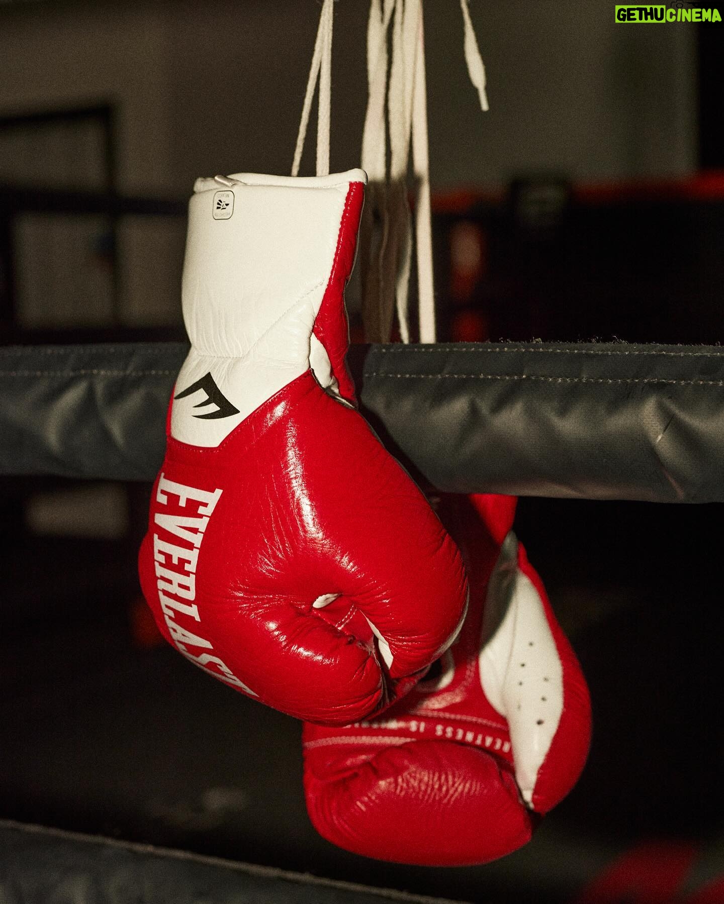 Rhiannon Dixon - 826 Likes - Two more sleeps before @rhiannondixon_ shines under those bright lights 🌟
EBU European Lightweight title… AND THE NEW! 👑
#TeamEverlast