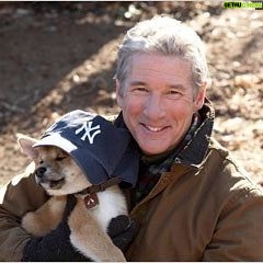 Richard Gere - 5.3K Likes - Merry Christmas to everyone! šš
š»šā¤ļø ____________________________________________#RichardGere #richard #gere #richardtiffanygere #wunderful #usa #instamen #instafashion #prettymen #prettywoman #actor #amazing #awesome #film #followme #favoritefilm #followforfollow #giorgioarmani #lovehim #likeforlike #beautiful #bestactor #bestmovie #ny #newyork #mensfashion #menwithstyle #silverfox #giorgioarmani #hachiko #merrychristmas